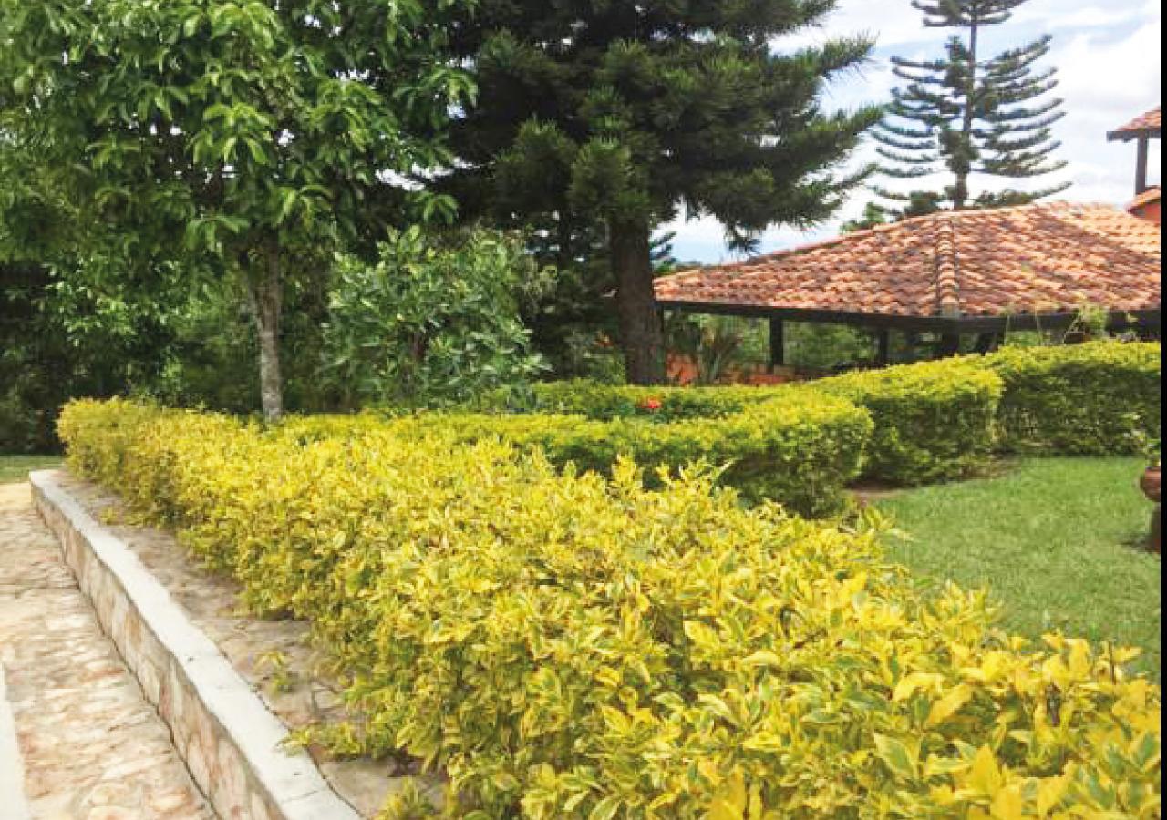 Hotel Cristo Rey Campestre Los Santos  Buitenkant foto